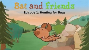 Hunting for Bugs