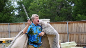 Treetop Medieval Fortress