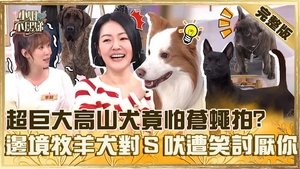 Episode 749