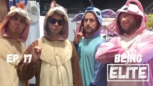 Episode 17
