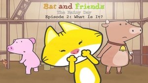 What Is It?
