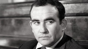 Welcome to the Wedding