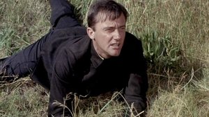 The Summit-Five Affair