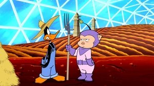Old McDodgers