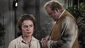 The Phillip Diedesheimer Story