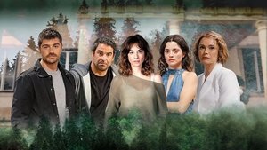 Episode 228