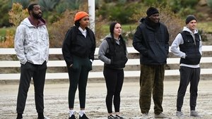 Defections, Connections, and Total Perplexion