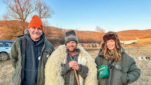 Haunted forest in Transsylvania