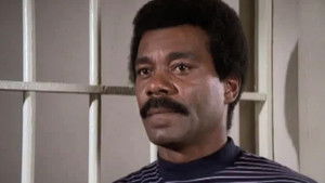 Quartet for a Blunt Instrument