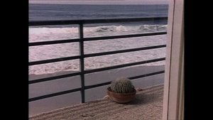 Once Burned, Twice Chey