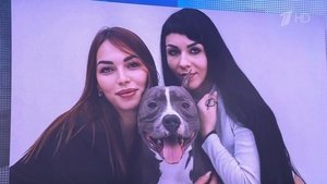 Episode 63