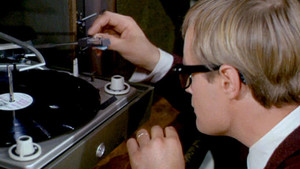 The Birds and the Bees Affair