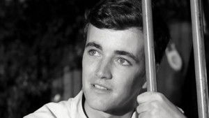 Across Walnuts and Wine