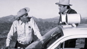 Shall Forfeit His Dog and Ten Shillings to the King