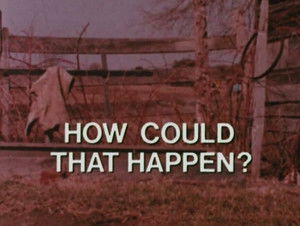 How Could That Happen?