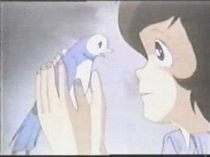 Where are you going, blue bird?