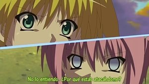 The Moment Hearts Connect
