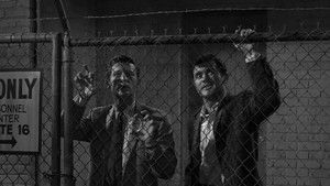 People are Alike All Over