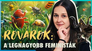 ŐK az IGAZI HÁTTÉRHATALOM