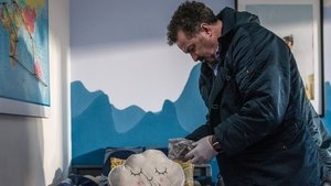 Episode 224