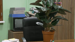 2091 Na drugim levelima