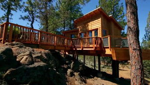 Never Too Old for a Treehouse