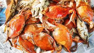 End-of-Summer Celebration