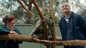 Sydney & Adelaide