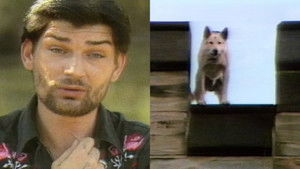 Almost Heaven, West Virginia