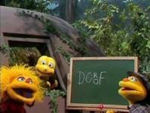 Episode 5