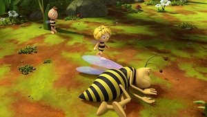 Stinger Stung