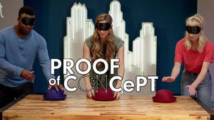 Conceiving Consciousness