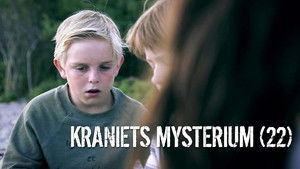 The Mystery of the Skull