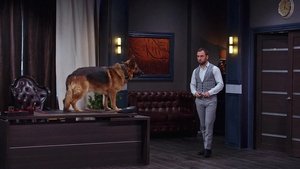 Episode 12