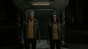 New Life and New Civilizations