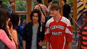 Three Girls and a Moose