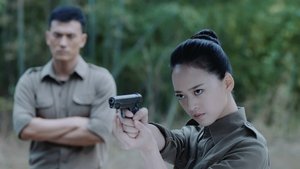 Episode 29