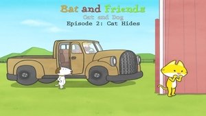 Cat Hides
