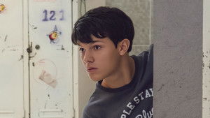 To Be or Not to Be a Hawk