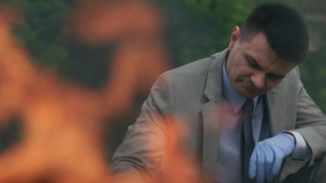 A Bomb in Broad Daylight