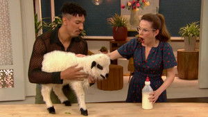 Wednesday, March 26, 2025