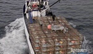 The Unforgiving Sea