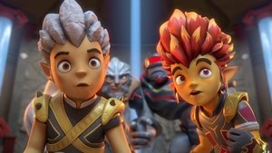 The Tournament