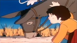 Don't Die, My Burro