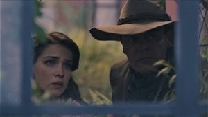 Episode 37