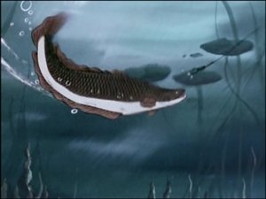Episode 51