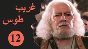 Episode 12