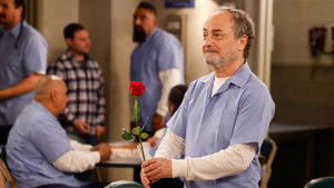 Welcome to the Yippedy-Dip