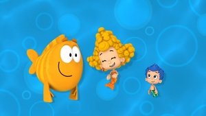 Swimtastic Check-Up!