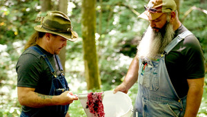 Champagne or Shine Pain?